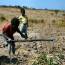 working-in-the-field