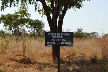 sign to cubal koyayo school