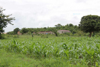 site of caiande school