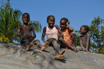 kids on a baobab