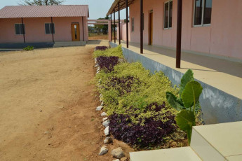 plantings in front of school