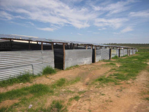 corrugated tin classrooms
