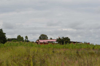 ngunda school site
